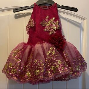 Dance Costume